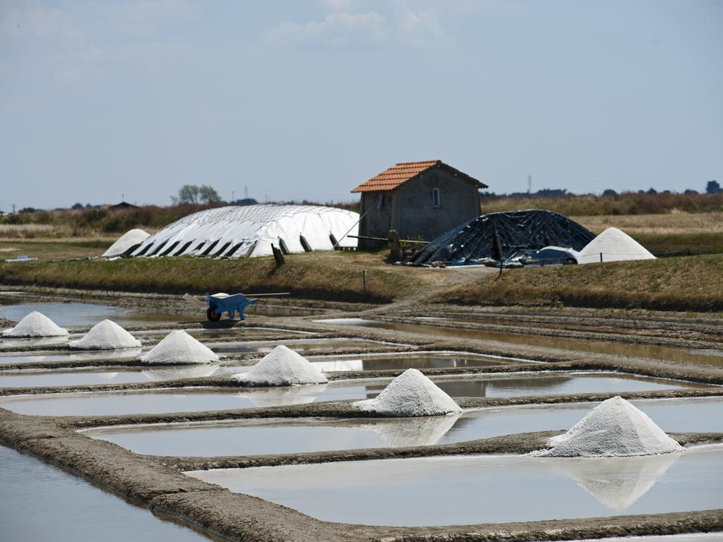 Huttopia Noirmoutier Екстер'єр фото